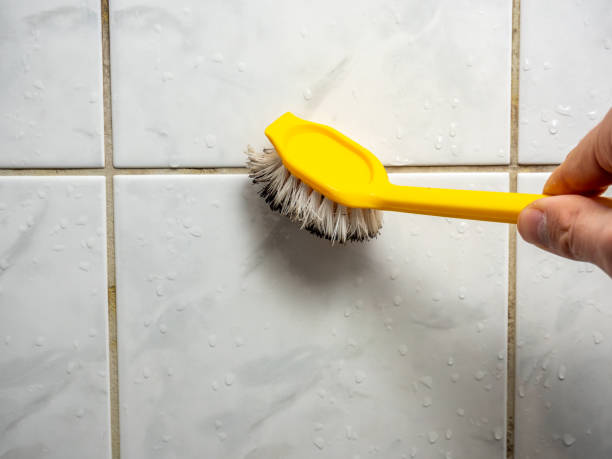 Best Insurance-Related Mold Remediation in Magalia, CA