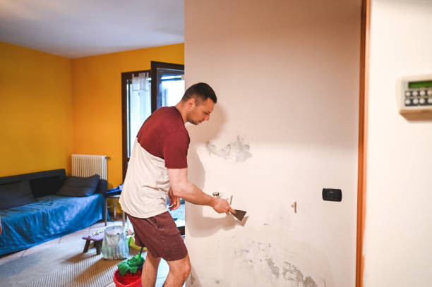 Best Mold Remediation for Specific Building Types in Magalia, CA